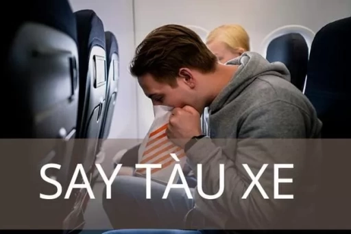 5 Điều Bạn Chưa Biết Về Chứng Say Tàu Xe